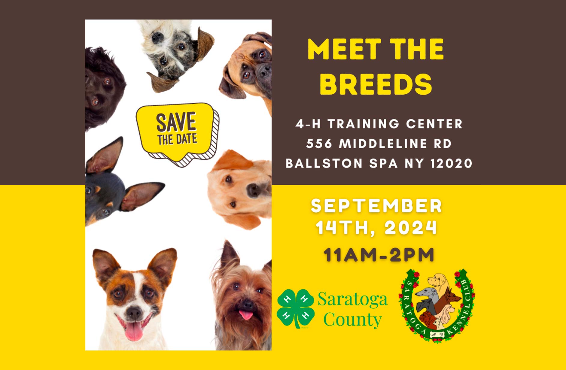meet the breeds Saratoga ny
