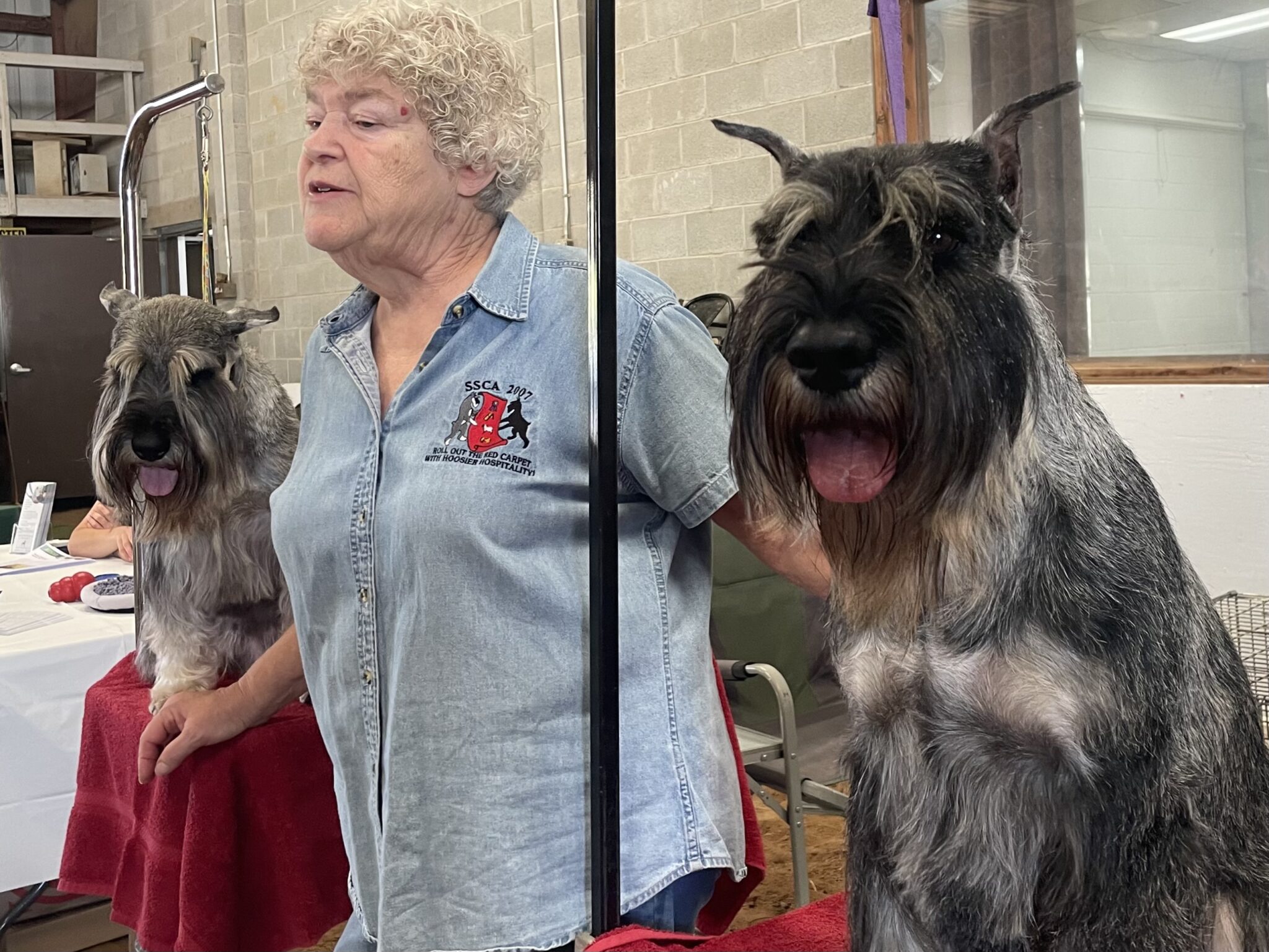 dog-event-and-activities-saratoga-springs-ny-skc